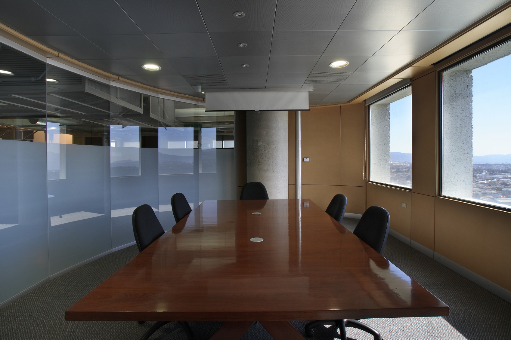 white frost privacy film