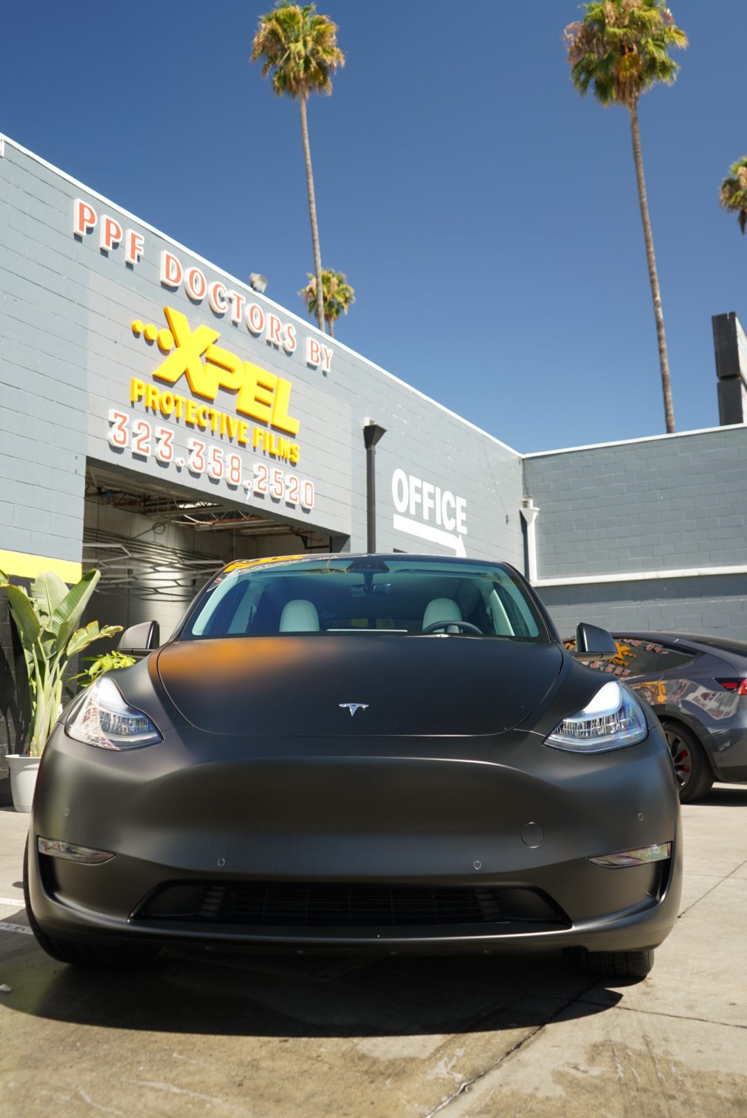 xpel ppf, clear bra, paint protection film
